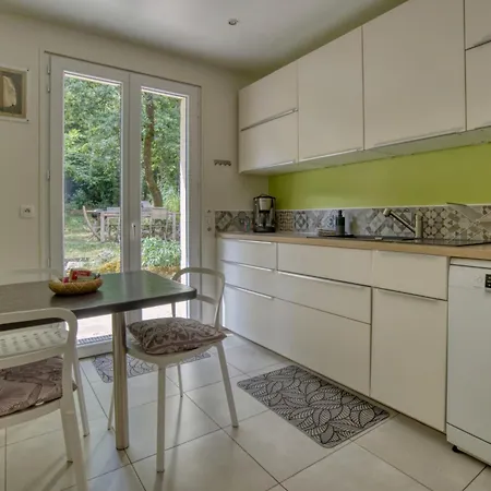 Calme A L'oree Des Bois