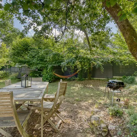 Calme A L'oree Des Bois