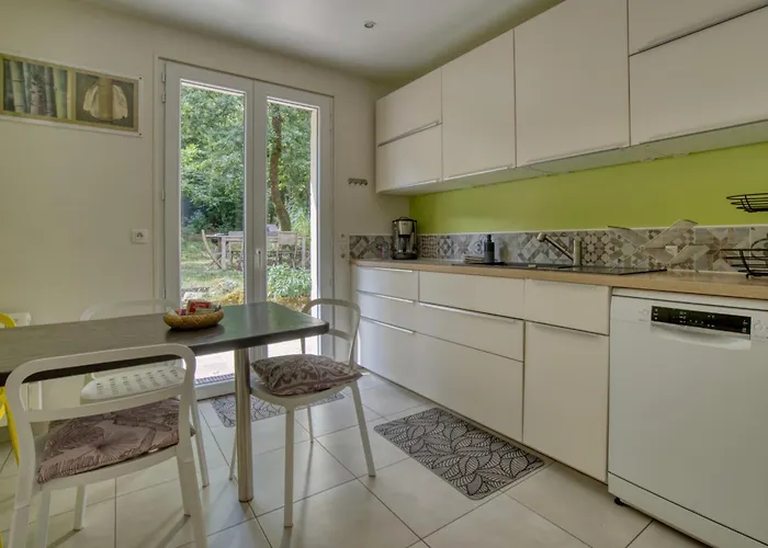 Calme à L'orée Des Bois