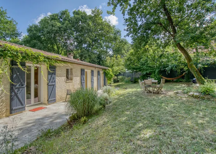 Calme à L'orée Des Bois